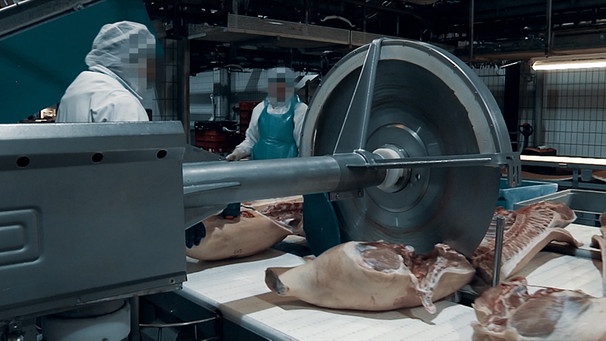 Fleisch wird im Schlachthof zerlegt | Bild: Bayerischer Rundfunk 2020