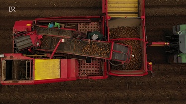 Riesiger Traktor erntet Kartoffeln auf einem Acker im Fichtelgebirge. | Bild: BR Fernsehen