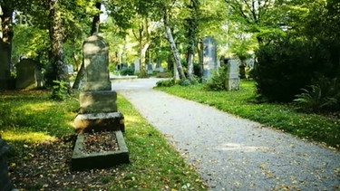 Suedfriedhof Muenchen | Bild: Bayerischer Rundfunk