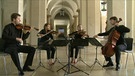 Portrait Quartett | Bild: Bayerischer Rundfunk