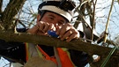 Forstwissenschaftler Giancarlo Foderá befestigt einen Sensor an einem Baum | Bild: Bayerischer Rundfunk 2023