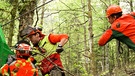 Drei Forstarbeiter zerren an Seil | Bild: Bayerischer Rundfunk 2023