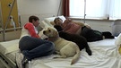 Patient bekommt Besuch von zwei Therapiehunden und einer Pflegerin | Bild: Bayerischer Rundfunk 2023