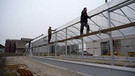 Männer bauen Gewächshaus auf | Bild: Bayerischer Rundfunk 2023