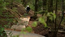 Mountainbiker fährt durch den Wald | Bild: Bayerischer Rundfunk 2023