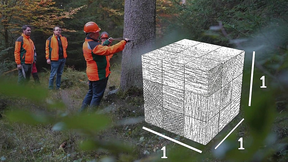 Maßeinheiten bei Holz | Bild: Bayerischer Rundfunk