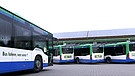 Busse vom Ettenhuber | Bild: Bayerischer Rundfunk