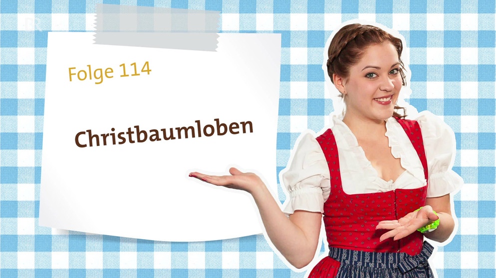 Dahoam in Bayern: Kathis Videoblog - Folge 114 | Bild: Bayerischer Rundfunk