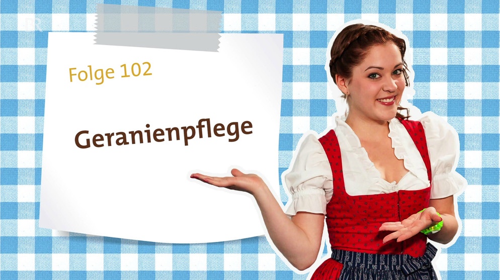 Dahoam in Bayern: Kathis Videoblog - Folge 102 | Bild: Bayerischer Rundfunk
