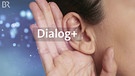 Dialog plus Startbild | Bild: Bayerischer Rundfunk