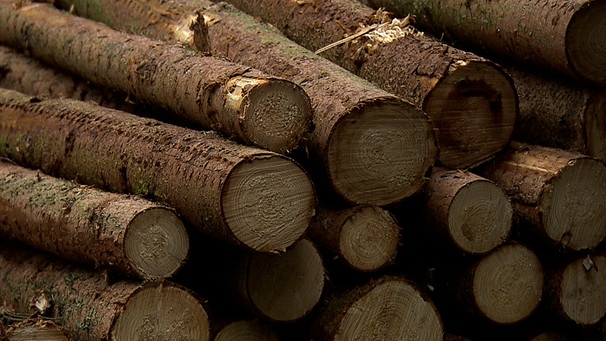 Holz-Brennstoffe: EU will Förderung ändern | Bild: Bayerischer Rundfunk 2023