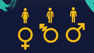 Symbole für weiblich, diversgeschlechtlich, männlich | Bild: Bayerischer Rundfunk