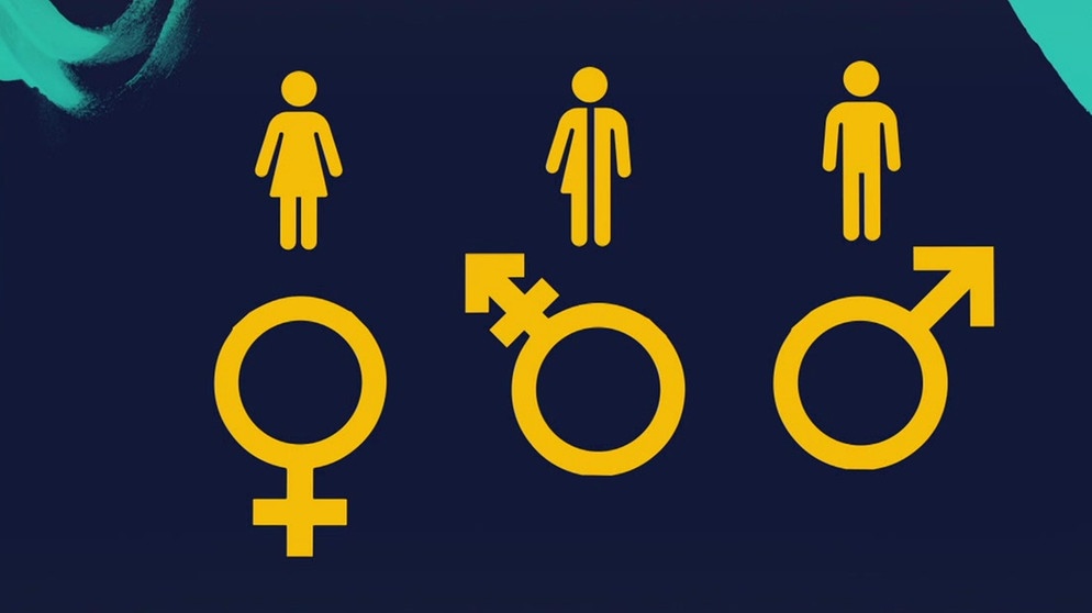 Symbole für weiblich, diversgeschlechtlich, männlich | Bild: Bayerischer Rundfunk