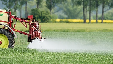 Pestizide | Bild: Bayerischer Rundfunk