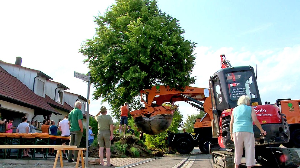 Großbaumverpflanzung in Dinkelsbühl | Bild: Bayerischer Rundfunk