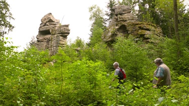 Pfade im Bayerischen Wald | Bild: Bayerischer Rundfunk