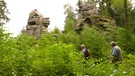 Pfade im Bayerischen Wald | Bild: Bayerischer Rundfunk