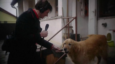 Felix Kubin hält Hund Mikrofon ins Maul | Bild: Bayerischer Rundfunk