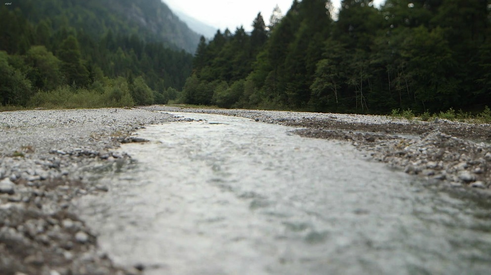 Wasser fließt im Gebirge | Bild: Bayerischer Rundfunk
