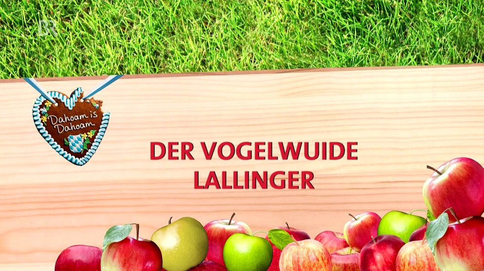 Dahoam is Dahoam: Lansinger Apfelmarkt - Landfrauen Lalling | Bild: Bayerischer Rundfunk