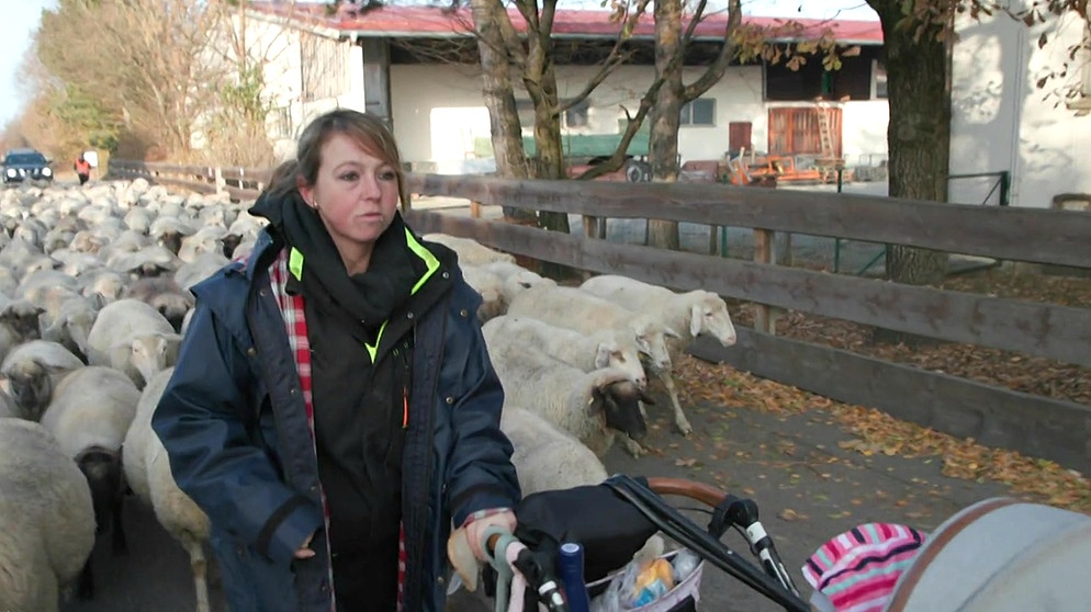 Martina Feser mit ihren Schafen | Bild: Bayerischer Rundfunk