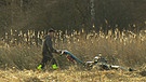 Mann mit Balkenmäher bei der Ernte von Schilfgras | Bild: Bayerischer Rundfunk