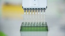 Forschung über Corona-Impfstoff bei Biotech | Bild: Bayerischer Rundfunk 2020