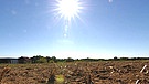 Staatliche Dürrehilfen für Landwirte? | Bild: Bayerischer Rundfunk