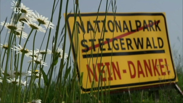 Schild "Nationalpark Steigerwald - Nein danke!" | Bild: Bayerischer Rundfunk