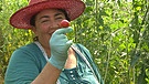 Irina Zacharias züchtet Tomaten | Bild: Bayerischer Rundfunk