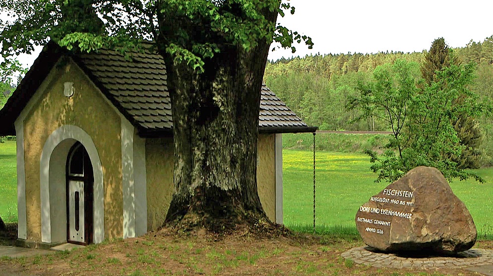 Ein Stein zur Erinnerung an ein verschwundenes Dorf im Pegnitztal | Bild: Bayerischer Rundfunk