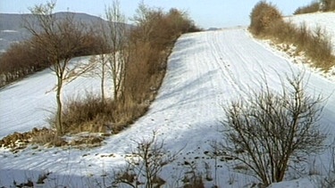 Aus dem Film "Topographie - Heckenlandschaften", Dieter Wieland, 1993 | Bild: Bayerischer Rundfunk
