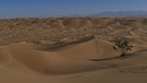 Wüste Dasht-e Kavir (Iran) | Bild: Xenia Kuhn 