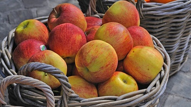 Apfelernte, Äpfel in einem Korb | Bild: picture-alliance/dpa