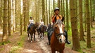 Im Wald muss die Reitergruppe besonders aufmerksam sein. Tiere oder Geräusche könnten die Pferde erschrecken. | Bild: BR | Text und Bild Medienproduktion GmbH & Co.KG