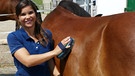 In ihrer ersten Reitstunde lernt Anna, wie man sich einem Pferd richtig nähert.  | Bild: BR | Text und Bild Medienproduktion GmbH & Co.KG