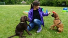 Ein Tag in der Hundeschule / Den erhobenen Zeigefinger verstehen Hunde besser, als das Kommando „Sitz“.
| Bild: BR / Text und Bild Medienproduktion GmbH & Co.KG