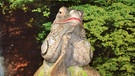 Leguan | Gizmo trägt als Leguan-Männchen die typischen Backensäcke. Sie bestehen aus Fett und Muskelgewebe. Weibchen fehlen diese Wülste. | Bild: BR | Text und Bild Medienproduktion GmbH & Co.KG