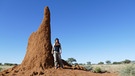 Im Reich der Termiten / So ein Termitenbau wird manchmal meterhoch. Aber was wir sehen, ist nur der Schornstein. Das Termitenvolk befindet sich unter der Erde. | Bild: BR/TEXT + BILD Medienproduktion GmbH & Co. KG