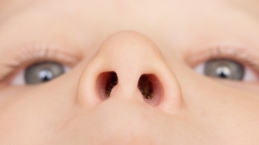Nahaufnahme von Augen und Nasenlöchern eines Kindes. | Bild: colourbox.com