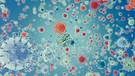 Symbolbild: Bakterien und Viren. | Bild: colourbox.com