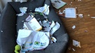 Hund Balou hat mehrere Bücher zerfetzt. | Bild: BR | Ursel Böhm