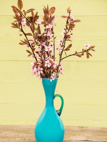 Blühende Obstbaumzweige in einer Vase | Bild: colourbox.com