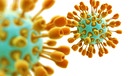 Modell eines Viruspartikels von Virustypen wie Corona oder Vogelgrippe. | Bild: mauritius images