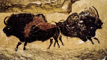In der Höhle von Lascaux (Frankreich) wurden bedeutende Höhlenmalereien gefunden: Hier sieht man zwei prähistorische Bisons.  | Bild: picture-alliance/dpa