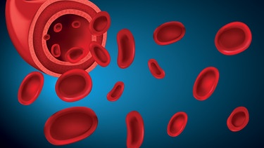 Darstellung einer Ader (Querschnitt) mit roten Blutkörperchen | Bild: colourbox.com