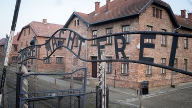 Das Eingangstor zum Konzentrationslager Auschwitz-Birkenau mit dem Schriftzug "Arbeit macht frei". | Bild: dpa-Bildfunk