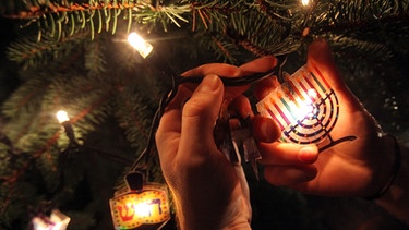 Ein "Weihnukka"-Tannenbaum mit jüdischem Weihnachtsschmuck. "Weihnukka" ist ein Mix aus den Worten "Weihnachten" und "Chanukka" und vermischt auch Brauchtum aus beiden Religionen. | Bild: picture-alliance/dpa