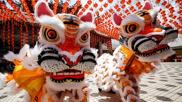 Menschen in Kostümen führen vor dem chinesischen Neujahrsfest einen traditionellen Tigertanz in einem chinesischen Tempel auf: Am 1. Februar 2022 beginnt das chinesische Jahr des Tigers.  | Bild: dpa-Bildfunk/Wong Fok Loy
