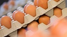 Eier sind in Kartons sortiert. | Bild: dpa-Bildfunk/Friso Gentsch